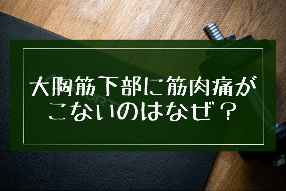 【筋トレ】大胸筋下部に筋肉痛がこないのはなぜ？その原因を解説！